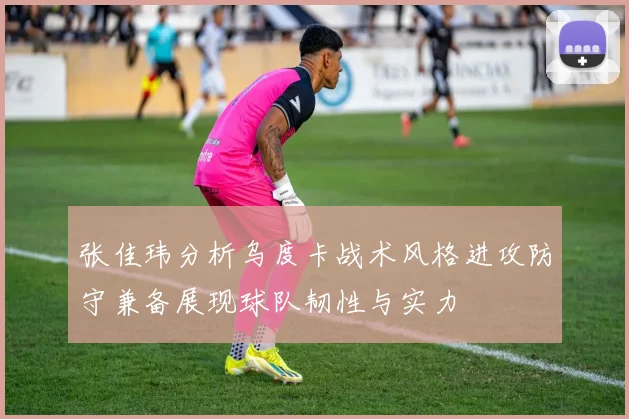张佳玮分析乌度卡战术风格进攻防守兼备展现球队韧性与实力